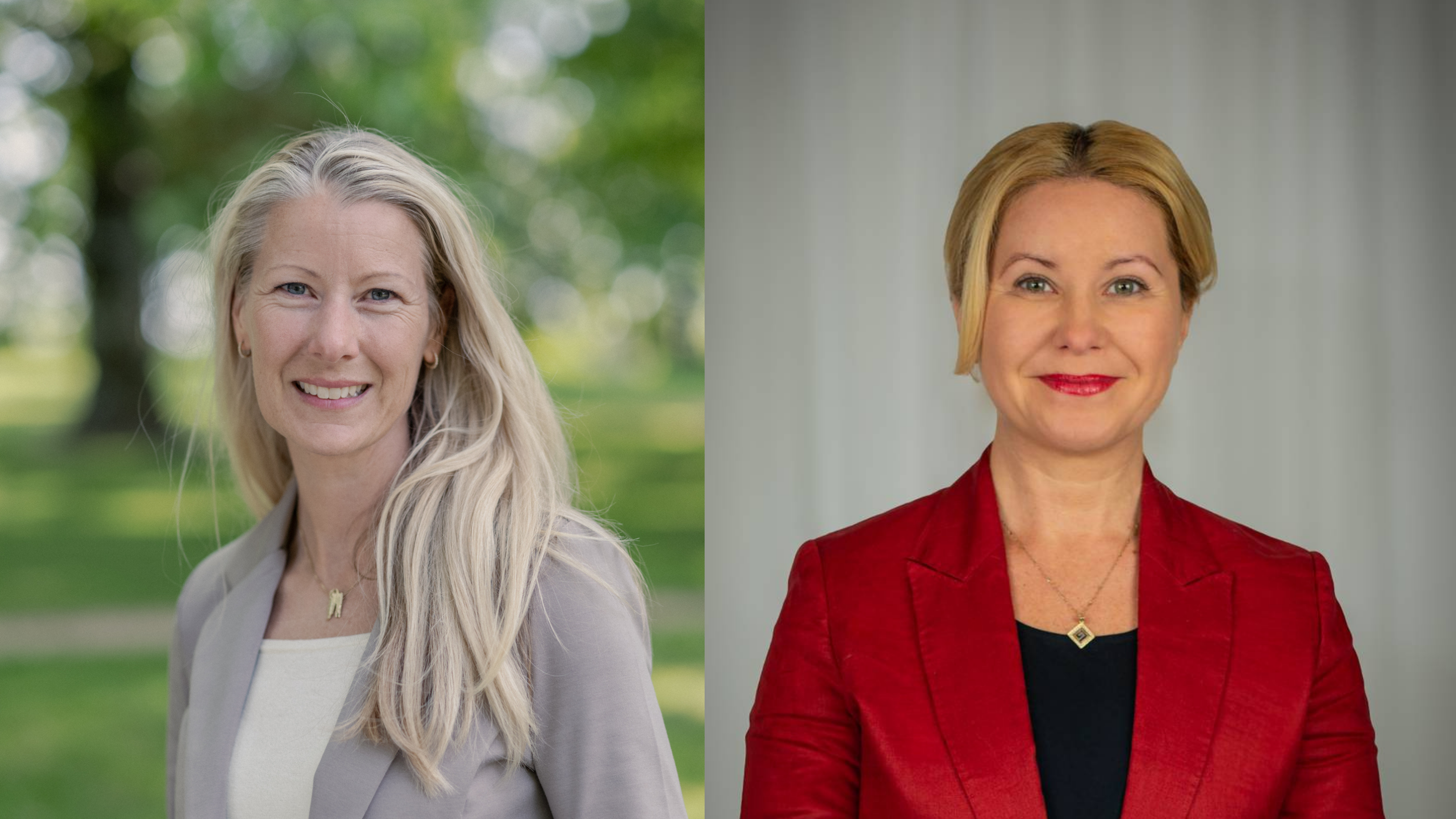 Byggmester Bob og det ufortalte yrkeslivet