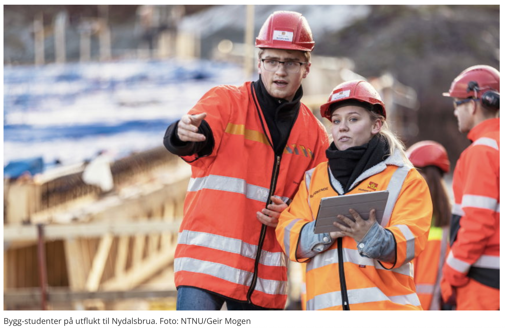 Vi har ikke råd til å misforstå ingeniørmarkedet nå